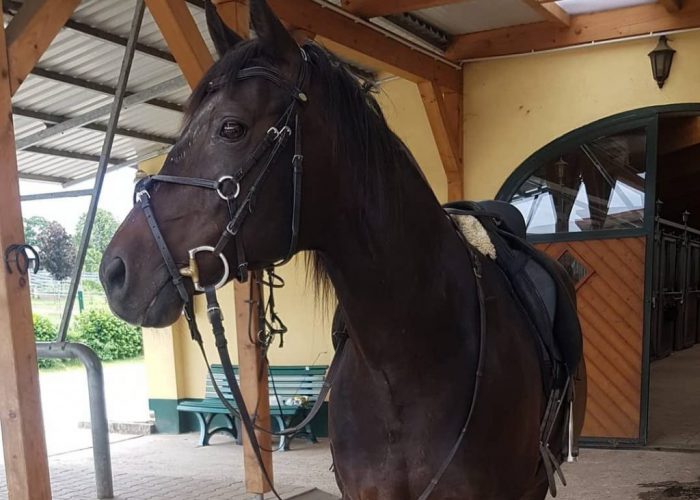 WhatsApp Image 2022-04-01 at 19.51.26