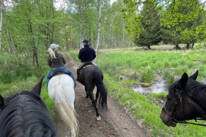 WhatsApp Image 2022-04-01 at 19.51.55