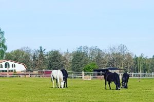 WhatsApp Image 2022-04-01 at 19.53.32 WhatsApp Image 2022-04-01 at 19.53.32