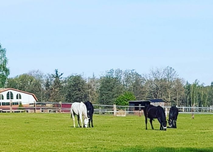 WhatsApp Image 2022-04-01 at 19.53.32