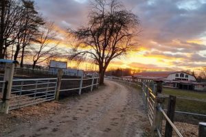 WhatsApp Image 2022-04-01 at 19.54.58 WhatsApp Image 2022-04-01 at 19.54.58