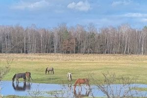 WhatsApp Image 2022-04-01 at 19.55.56