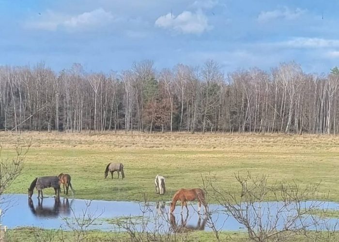 WhatsApp Image 2022-04-01 at 19.55.56