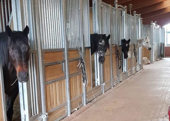 WhatsApp Image 2022-04-05 at 16.32.39