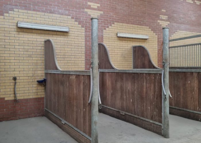 WhatsApp Image 2022-04-05 at 17.35.27